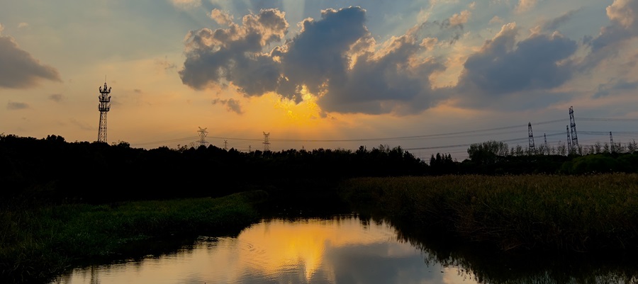 金海湿地公园 夕阳